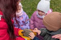 Ornis Přerov - Ježkův rok